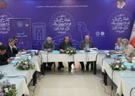 پناهی: شورای اسلامی شهر باید به مانند اتاق شیشه‌ای عمل کند