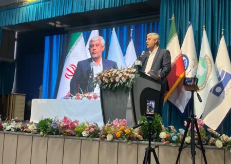 سعیدی: وزیران سفیر معرفی ظرفیت‌های جنوب کرمان در کشور هستند