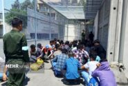 سرهنگ حبیبی فر: ۱۹۵ نفر اتباع بیگانه غیرمجاز در زابل جمع آوری شدند