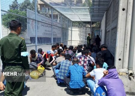 سرهنگ حبیبی فر: ۱۹۵ نفر اتباع بیگانه غیرمجاز در زابل جمع آوری شدند