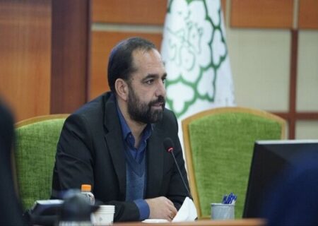 نظام‌نامه محلات قانونی‌ترین مسیر مشارکت مردمی است