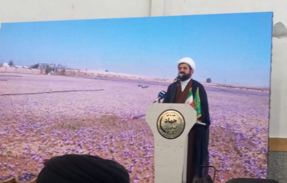سویدانلویی: زعفران فاروج با همت کشاورزان در سطح جهان به شهرت رسید