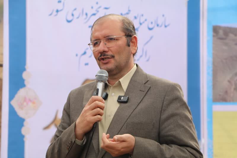 خشکیدگی بلوط در ۴ میلیون هکتار از جنگلهای زاگرس