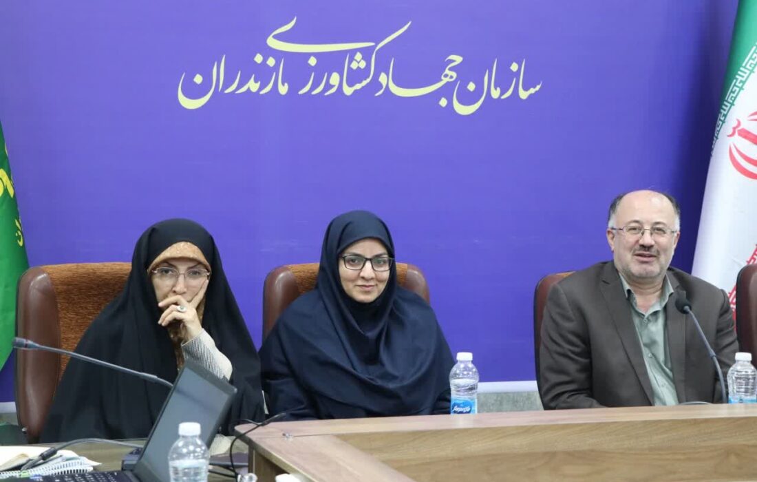 تیموری: نوسازی و مکانیزاسیون ناوگان حفظ نباتات یک ضرورت است