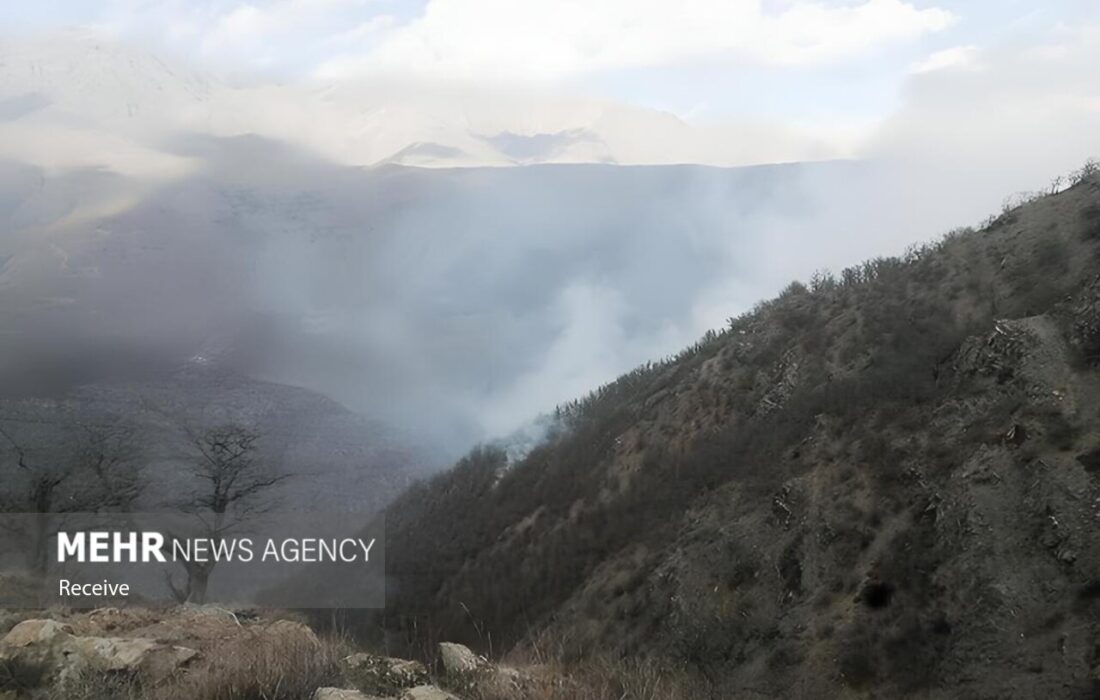 یوسف پور: ۲ بالگرد برای اطفای حریق در منطقه الیت فعال‌ هستند