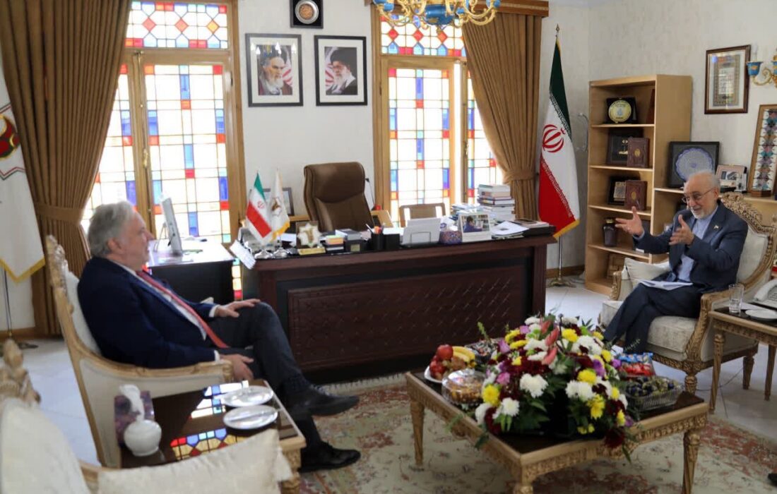 گزارشگر سازمان ملل با رئیس بنیاد ایرانشناسی دیدار کرد