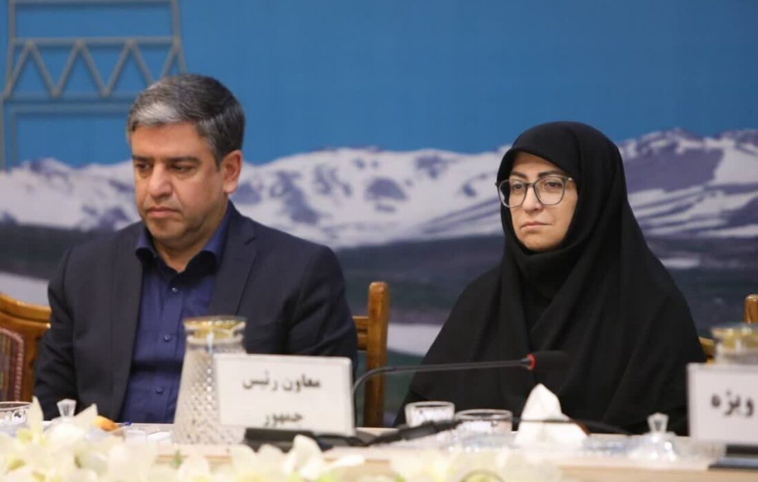 انصاری: رویکردهای زیستمحیطی در سیاستگذاریهای توسعه الزامی است