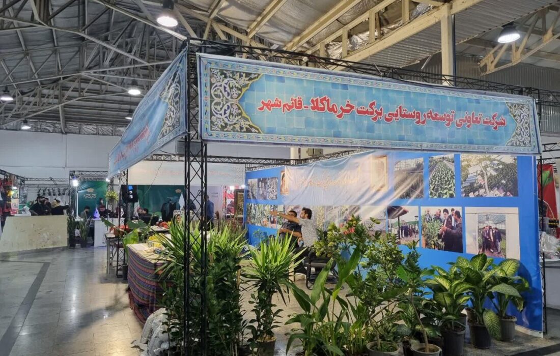 صادق نژاد: ۵۰۰۰ شغل روستایی در مازندران ایجاد شده است