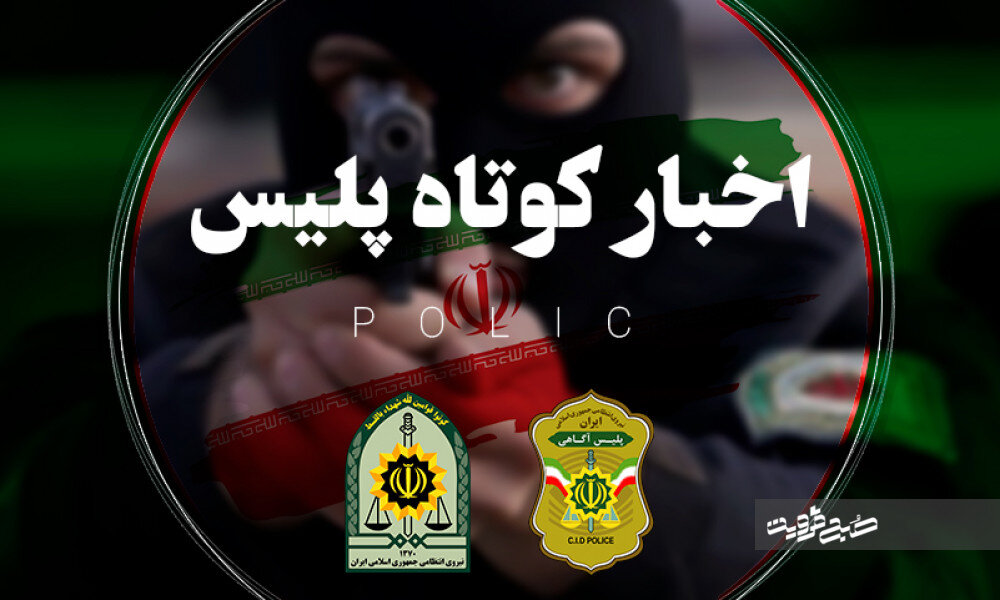 از بازداشت اراذل و اوباش مسلح تا نجات پرنده شکاری در نوشهر