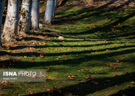تداوم پایداری هوا در گیلان/ وزش باد در مناطق کوهستانی
