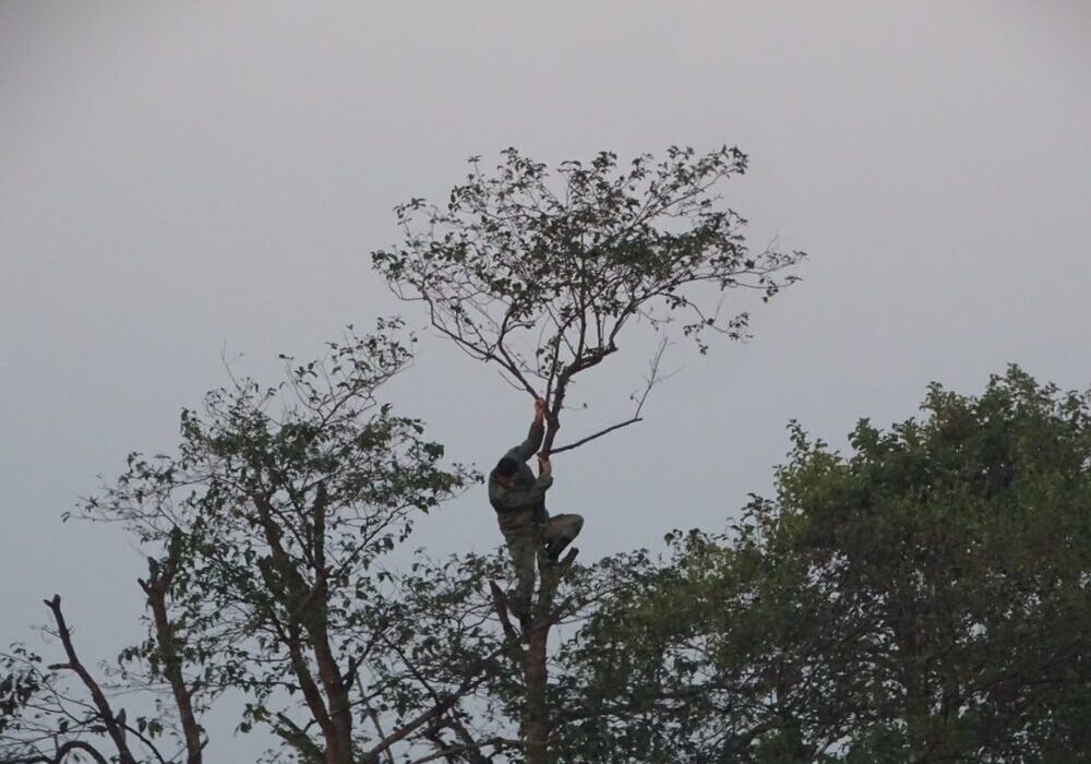 جمع آوری تلههای میلیاردی شکار پرندگان در پارک ملی بوجاق
