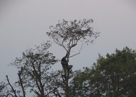 جمع آوری تله‌های میلیاردی شکار پرندگان در پارک ملی بوجاق