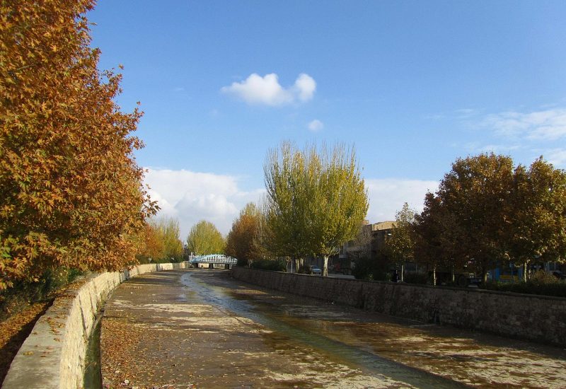 ملکان: نگین سرسبز آذربایجان شرقی و قطب کشاورزی منطقه